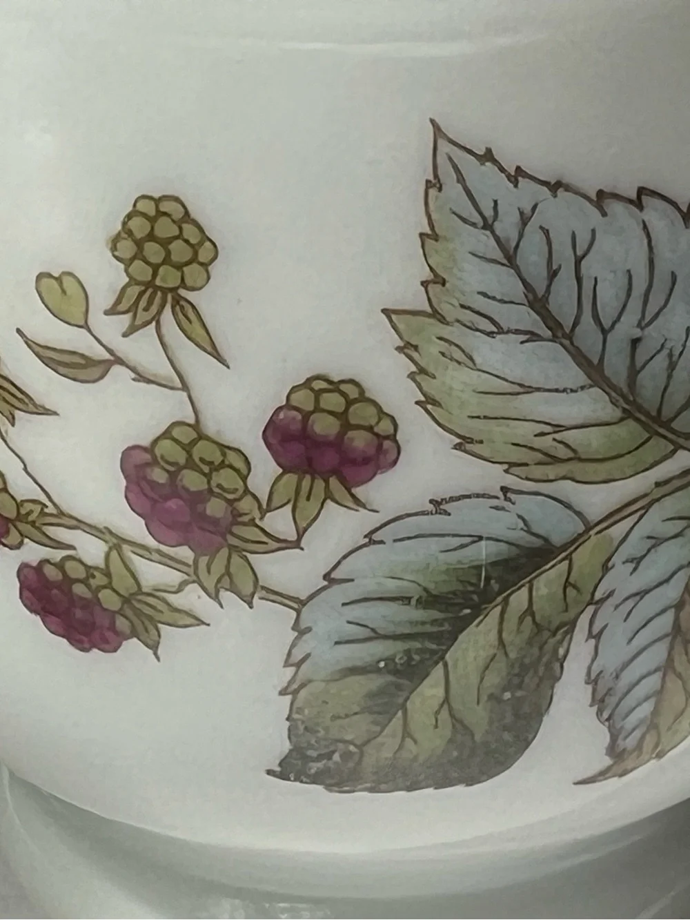 Royal Worcester Berry illustration Egg Coddler with Instruction Sheet